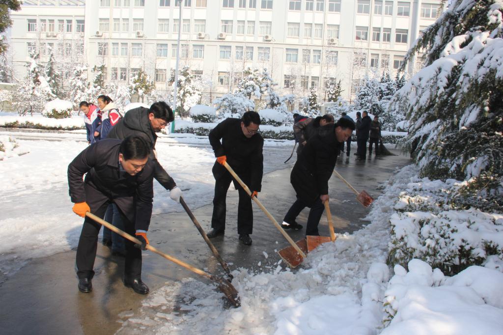 黨員干部義務(wù)除雪.jpg